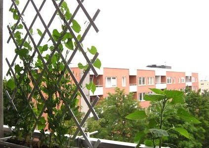 Comment fixer treillage balcon ?