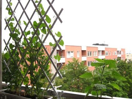 Comment fixer treillage balcon ?
