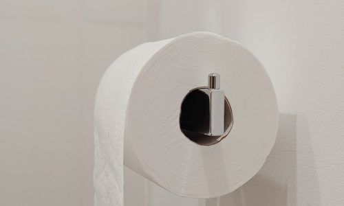 Quel est le meilleur emplacement pour un porte-papier toilette ?￼