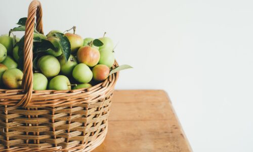 Osier, rotin et cannage : plongée dans les tendances déco du moment